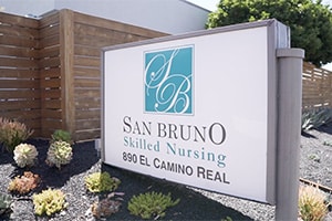 San Bruno monument sign and succulent flowers